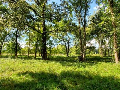 Tbd E Taylor Lake Cir, Livingston, TX, 77351