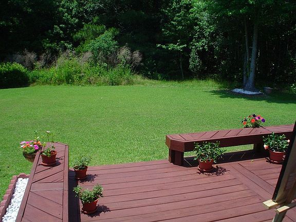 Backyard forest