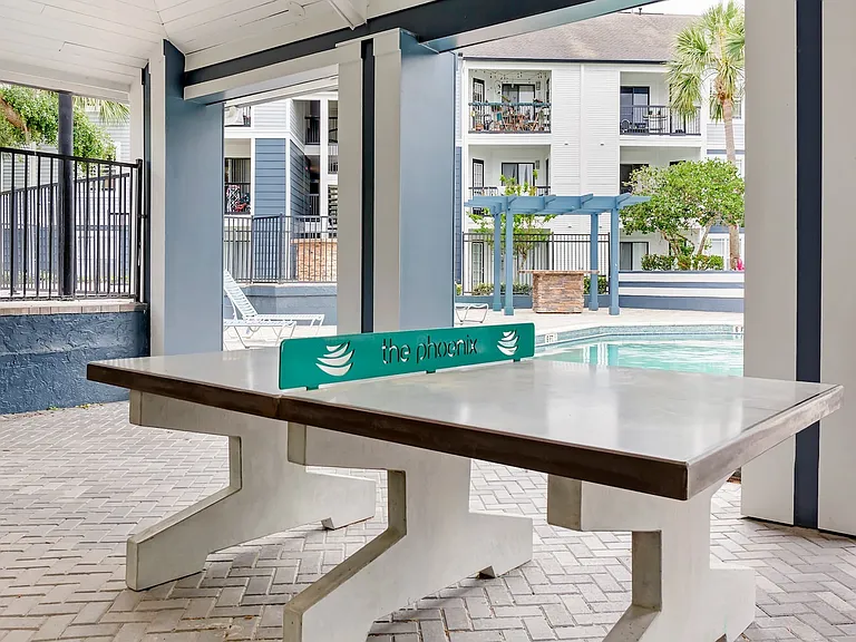 Table Tennis