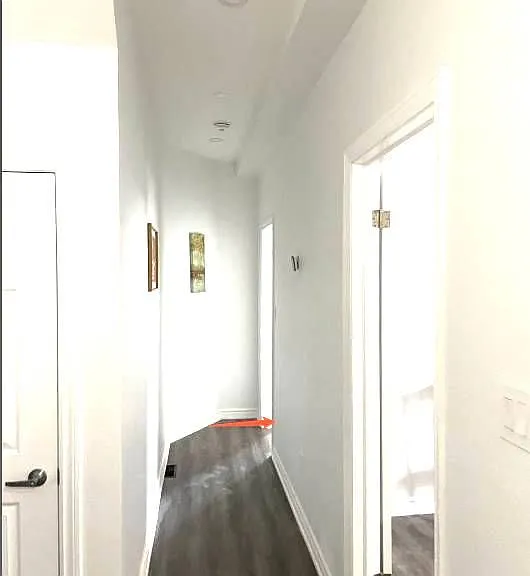 81 Hallam St #103 — Photo 3