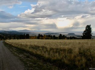 304 Kaufman Rd LOT 1202, Hartsel, CO 80449