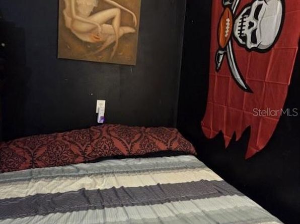 tampa-florida-45036666 picture