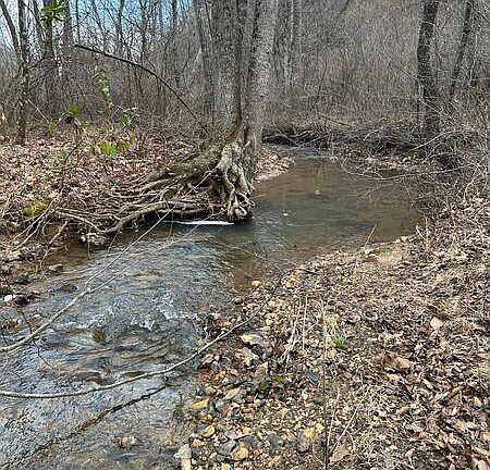 2nd image of 3546 Prillaman Switch Rd