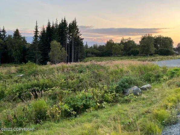975 Father Dean Ct, Homer, AK 99603