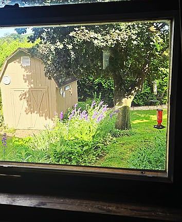 View out the kitchen window.