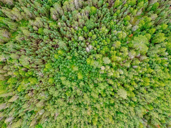 V/l Us 2 Hwy Lot 1, Gould City, MI 49838