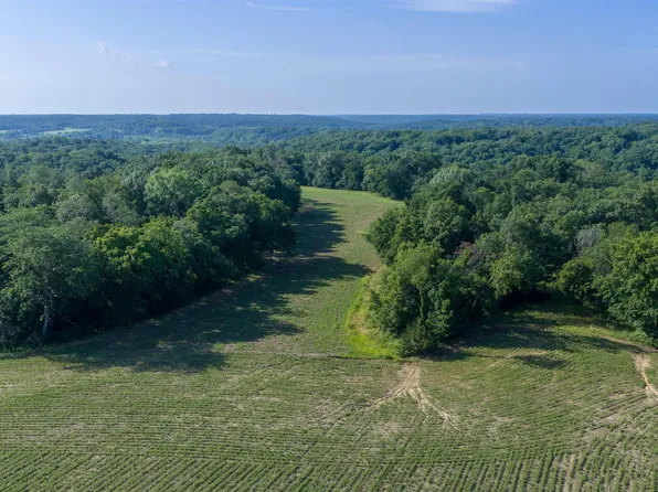 0 E State Route 95, Marietta, IL 61459
