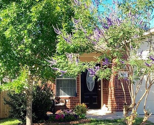 Beautiful new front door with beveled glass!