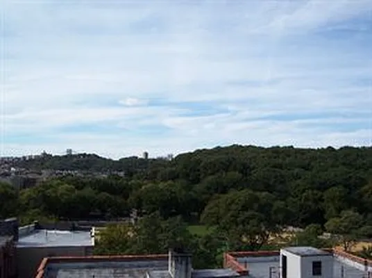 Sold by Douglas Elliman | media 15