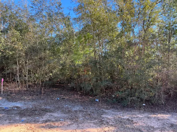(undisclosed Address), Alford, FL 32420