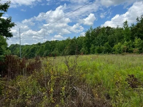 120 Millard Ln, Adamsville, TN 38310