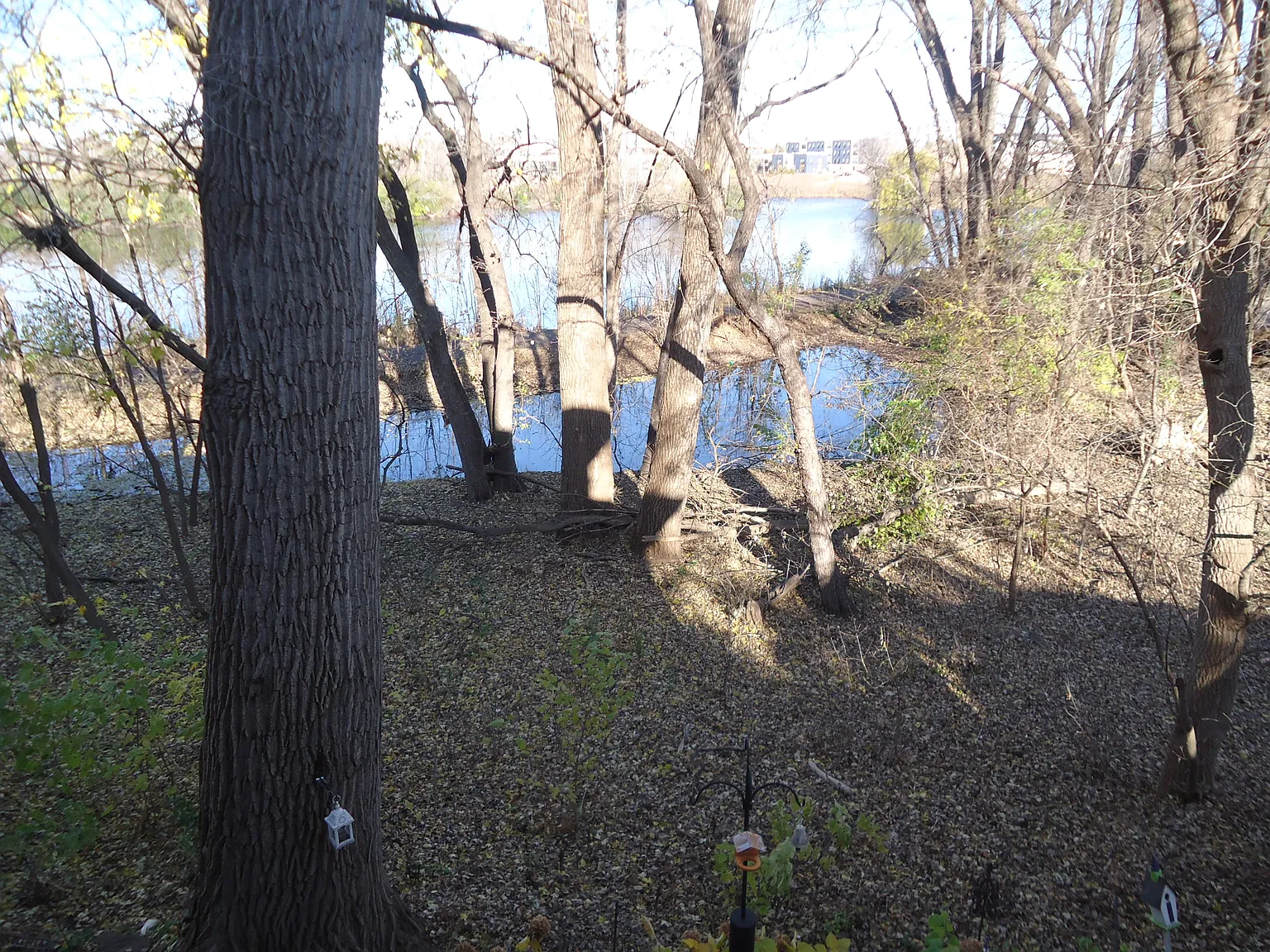 3 bed, 1262 sqft, $2,050 — Photo 3