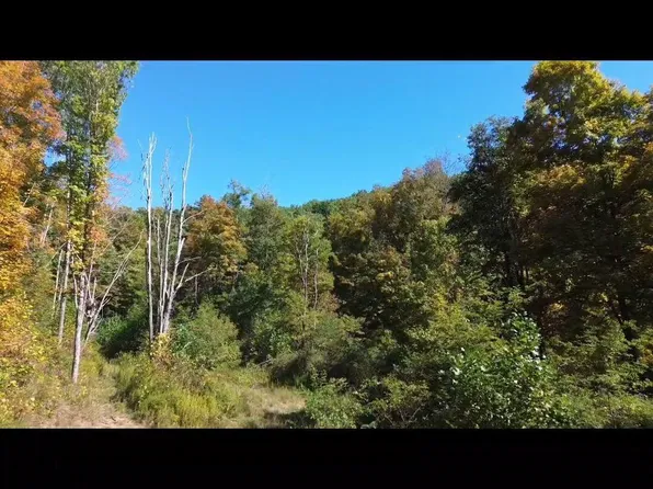 661 Timber Ridge Dr, Rainelle, WV 25962