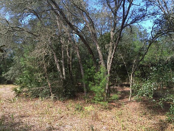 2nd image of 1015 Seminole Bear Trl