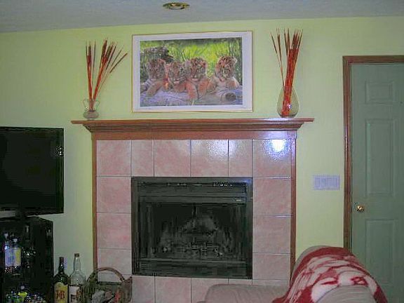 Fam Room w/Gas FP