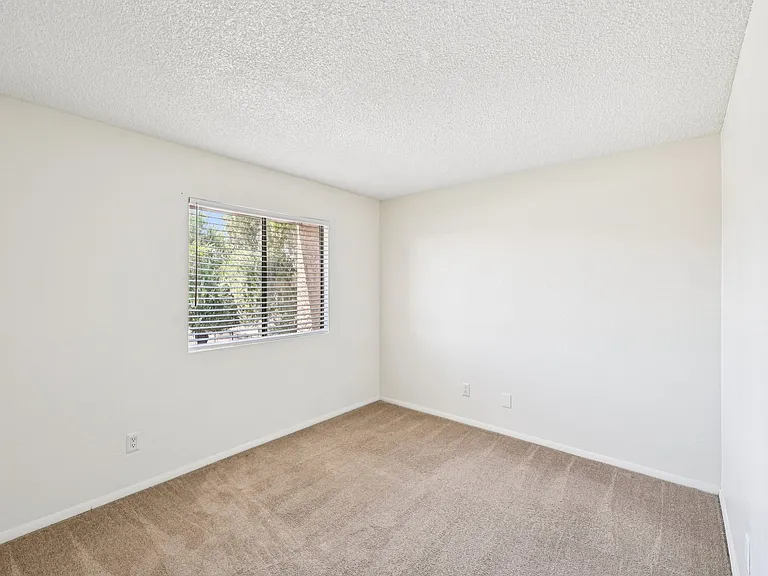 Solano — Photo 32