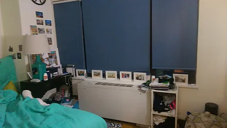 Rented by Manhattan Apartment Organization