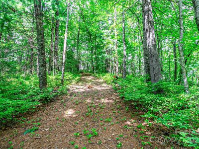Big Branch Rd, Brevard, NC, 28712