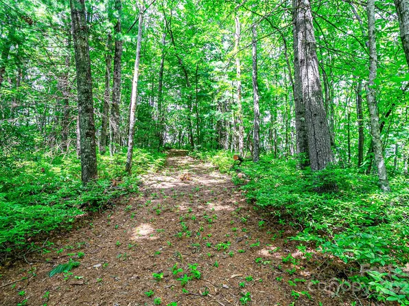 Big Branch Rd, Brevard, NC 28712