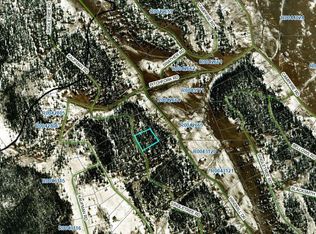 1032 Singletree Rd #1286, Hartsel, CO 80449