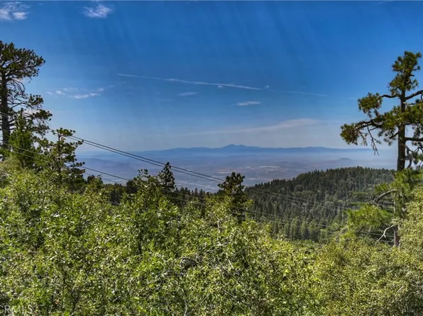 25515 True Ln, Twin Peaks, CA 92391