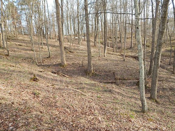 4th image of 0 Burton Run Rd