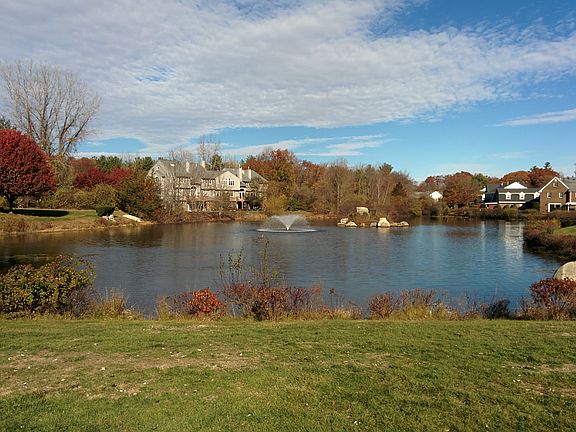 View of pond