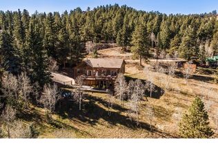 12412 Polly Dr, Pine, CO 80470
