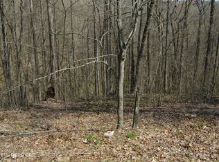 28 Hunter's Landing Ln, Smithville, TN 37166