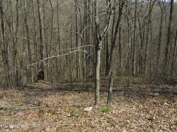 28 Hunter's Landing Ln, Smithville, TN 37166