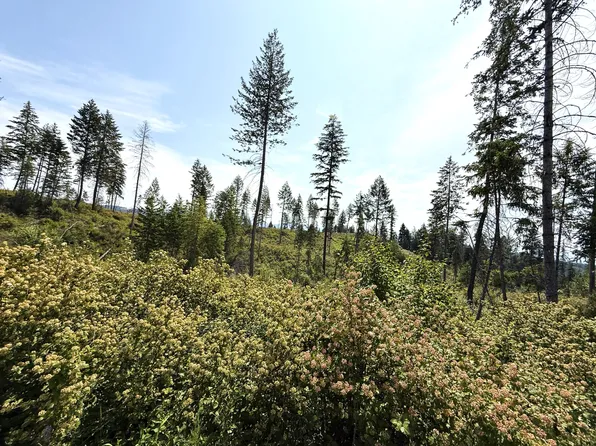 Rockabye Ln Lot 1, Curlew, WA 99118