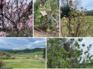 11 Dream St, Millboro, VA 24460