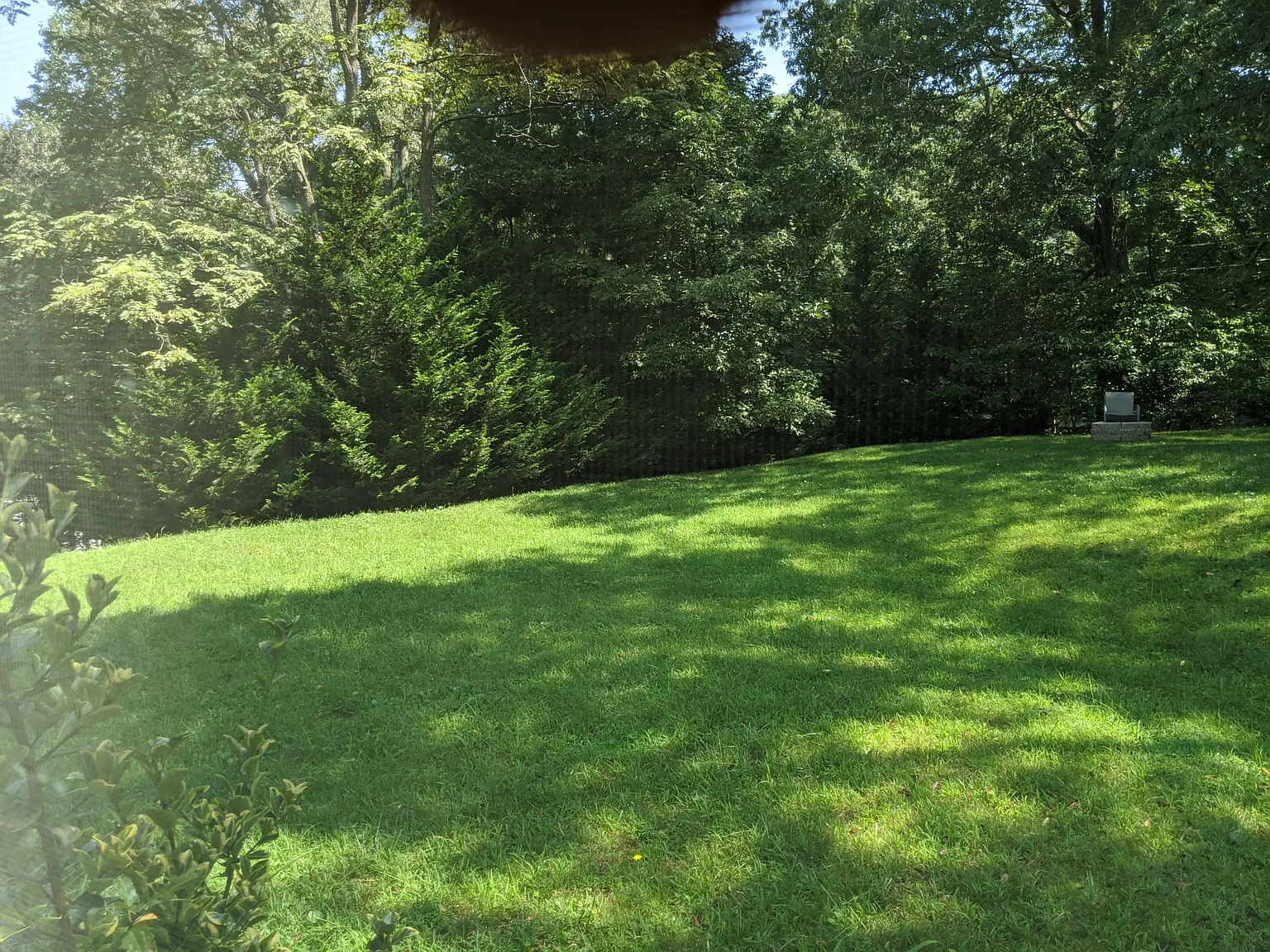 3 bed, 1530 sqft, $2,100 — Photo 4