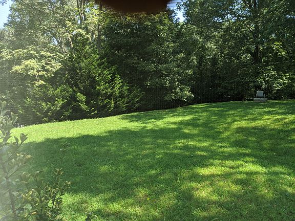 side yard and fire pit