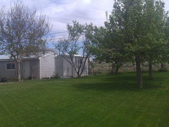 backyard and garden shed