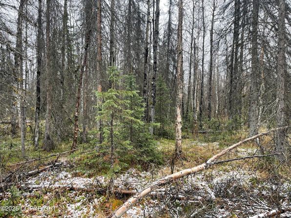 19772 E Montana Creek Rd, Talkeetna, AK 99676