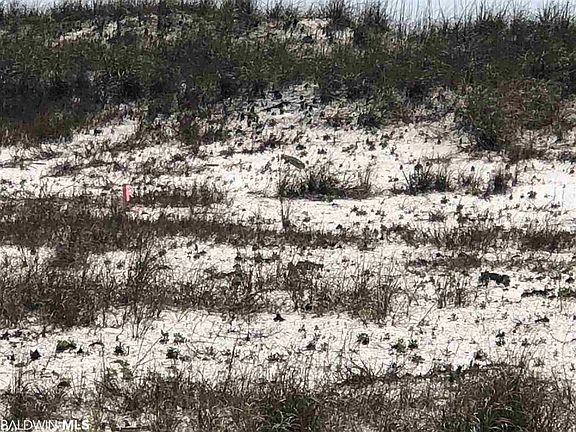 5th image of 29140 Perdido Beach Blvd