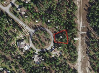 29 Ageratum Ct, Homosassa, FL 34446