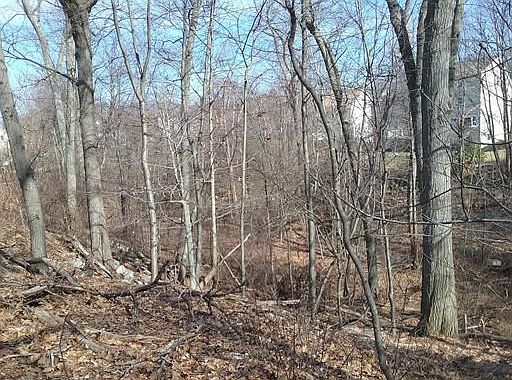 4th image of 5 Mauriello Dr
