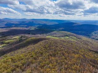 00WP De Nicola Rd, Fleischmanns, NY 12430