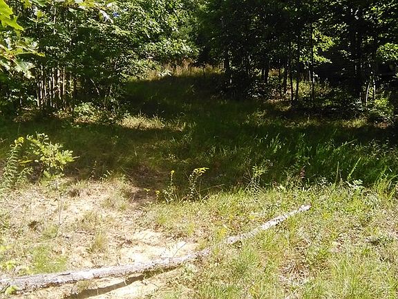 5th image of 323 Mockingbird Ln