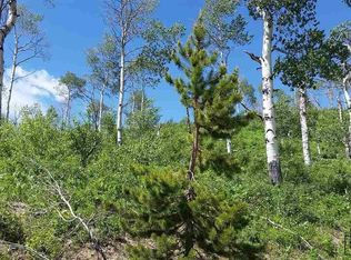 57615 Longfellow Way LOT 233, Clark, CO 80428