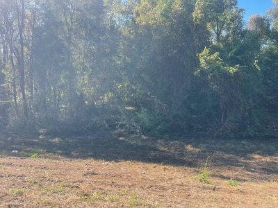 7.3 Acres Hwy #84, Ashford, AL, 36312