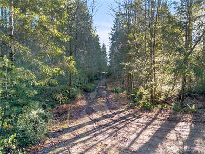 730 NE Black Bear Road, Belfair, WA, 98528