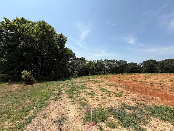 2nd image of Lot 10 Little Street