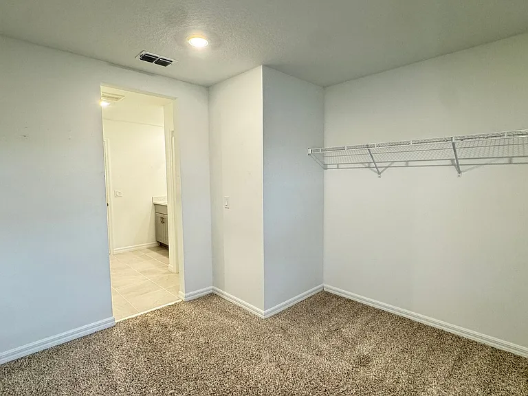 2401 White Tail St — Photo 49