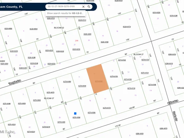 207 TEMPLE Avenue, Crescent City, FL 32112