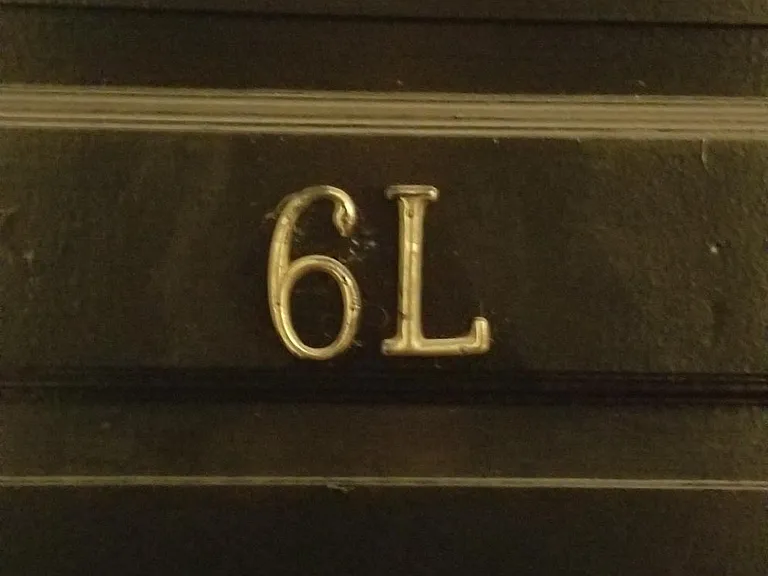 2800 N Pine Grove Ave #6L — Photo 8