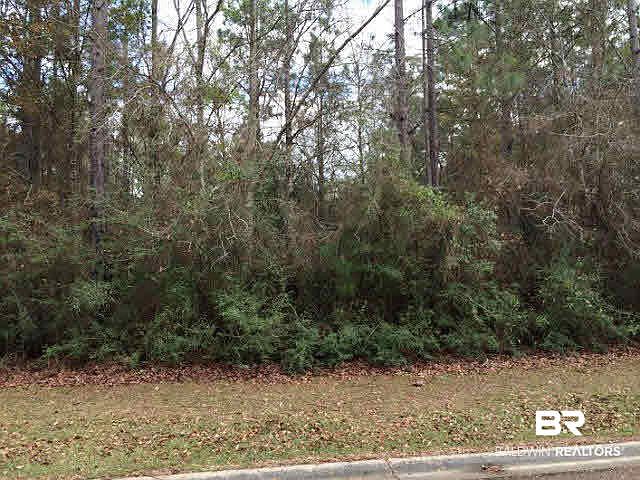1st image of 0 Wallace Cir