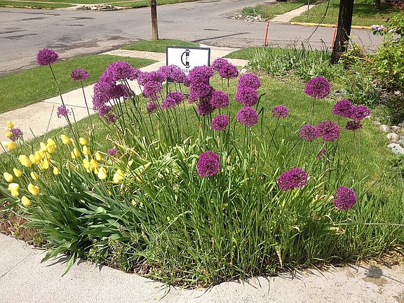 Landscaping in front.